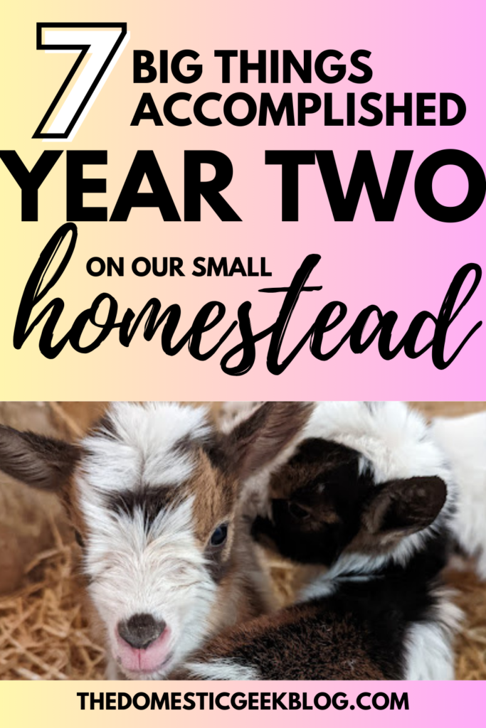 7 big things accomplished year two on our small homestead