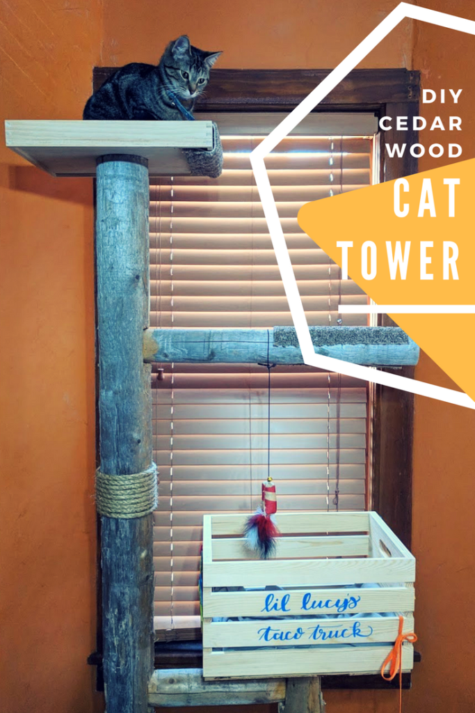 Crate deals cat tree