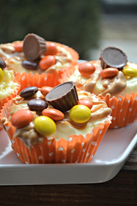 Reeses mini cheesecakes