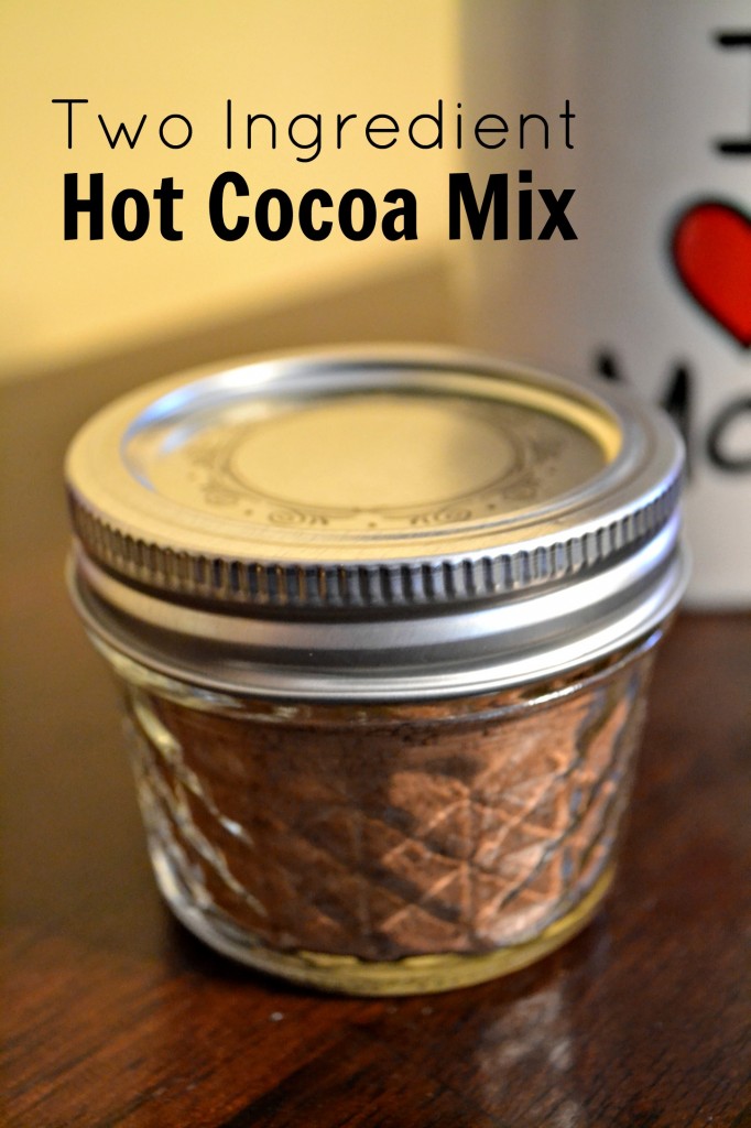 Two Ingredient Hot Cocoa Mix