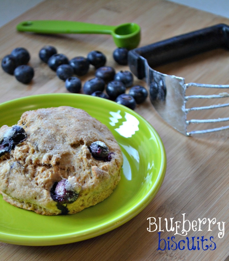 blueberry biscuits recipe the domestic geek