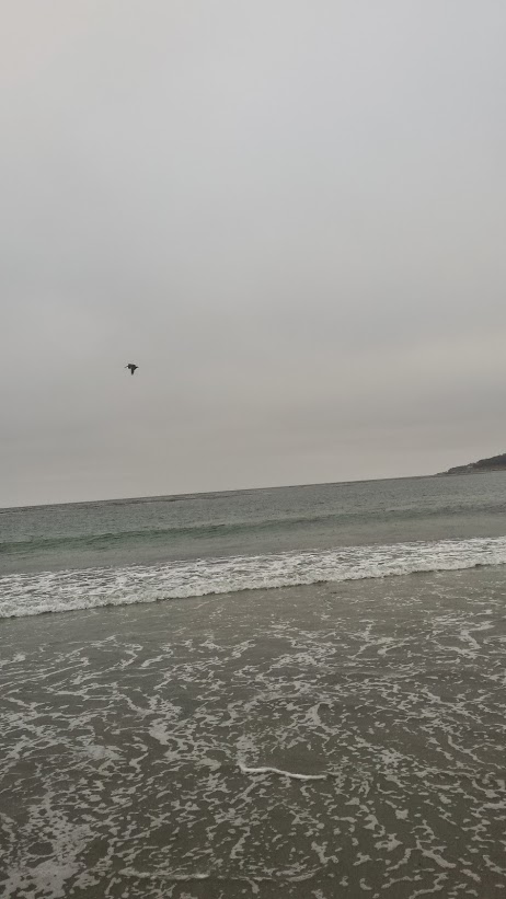 carmel beach