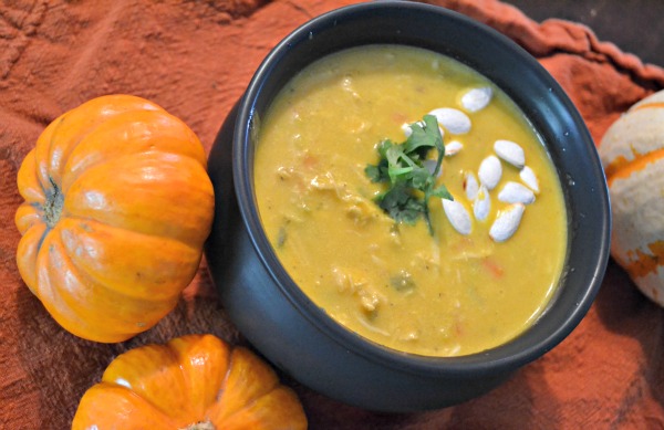 chicken pumpkin soup