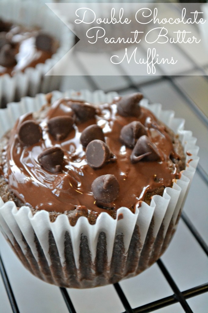 double chocolate peanut butter muffin recipe