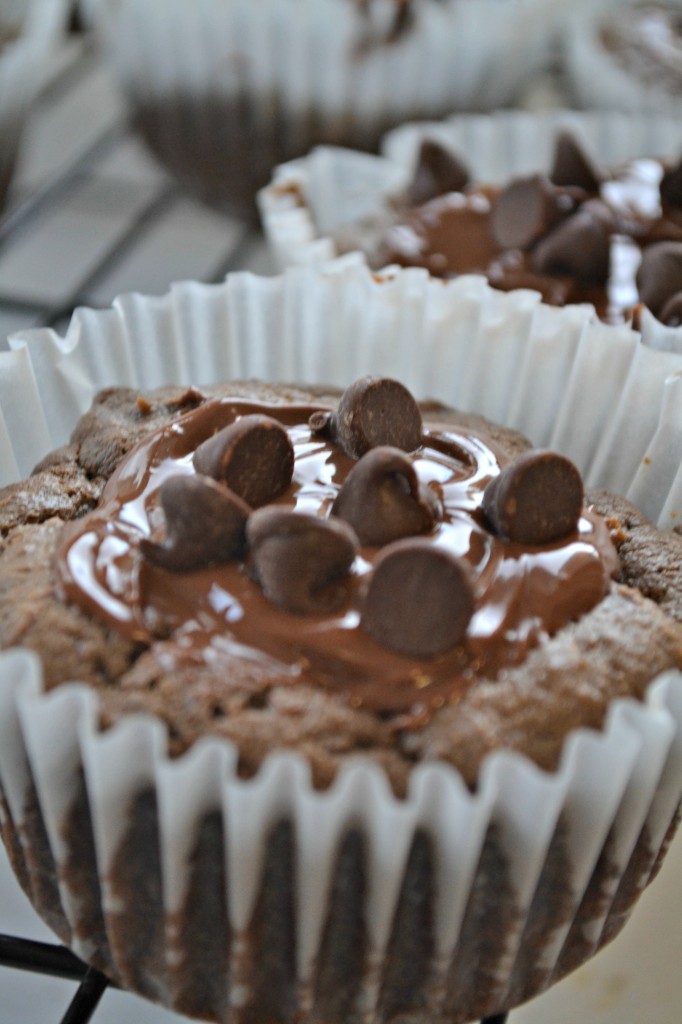 double chocolate peanut butter muffins