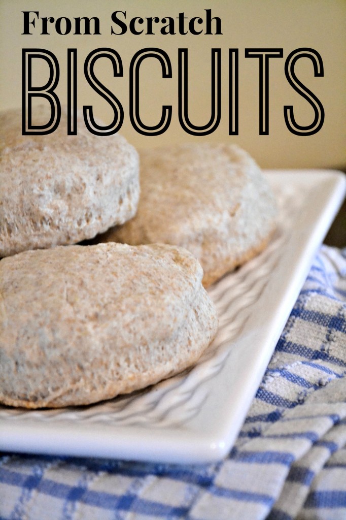 From scratch biscuits real food recipe, only 5 ingredients! 