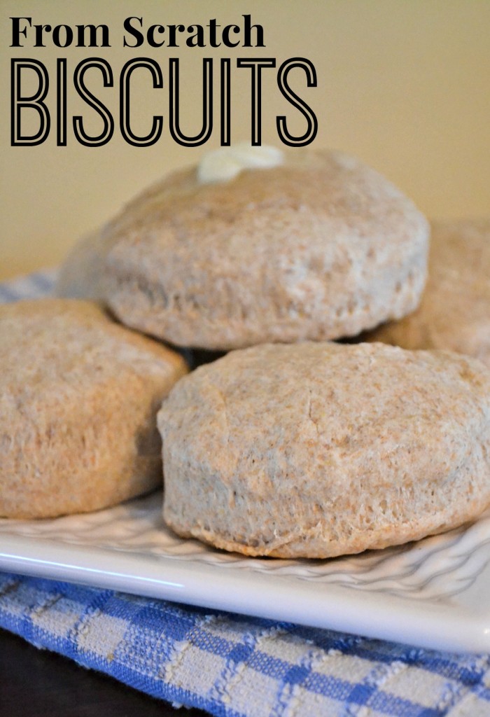 From scratch biscuits real food recipe, only 5 ingredients! 