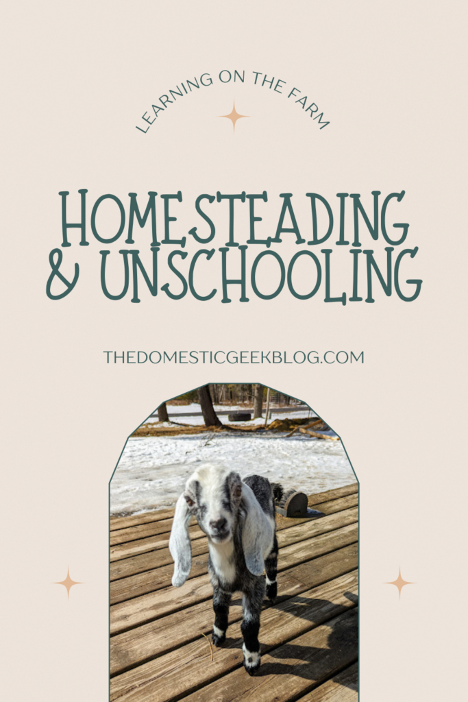 homesteading and unschooling