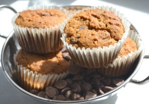 pumpkin chocolate chip muffin