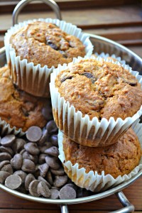 pumpkin chocolate chip muffins