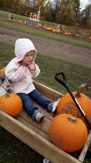 pumpkin patch wagon