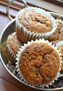 pumpkin spice chocolate chip muffin recipe