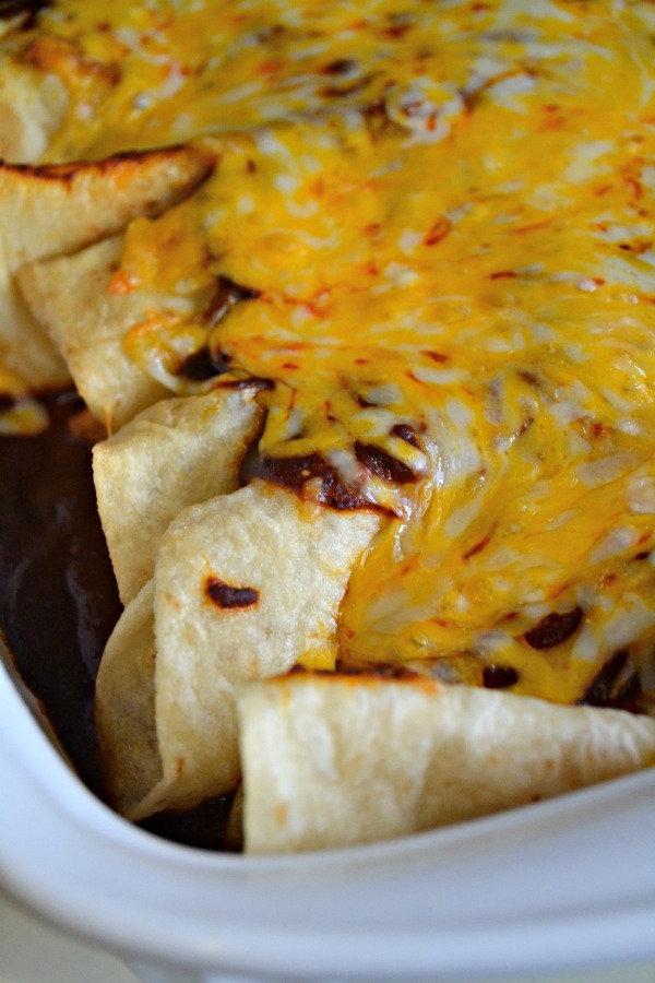 tex-mex enchiladas recipe